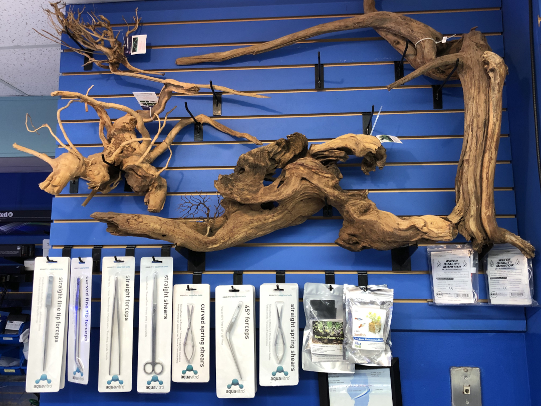 Spider Wood, Driftwood, and Aquascaping Tools on Blue Wall